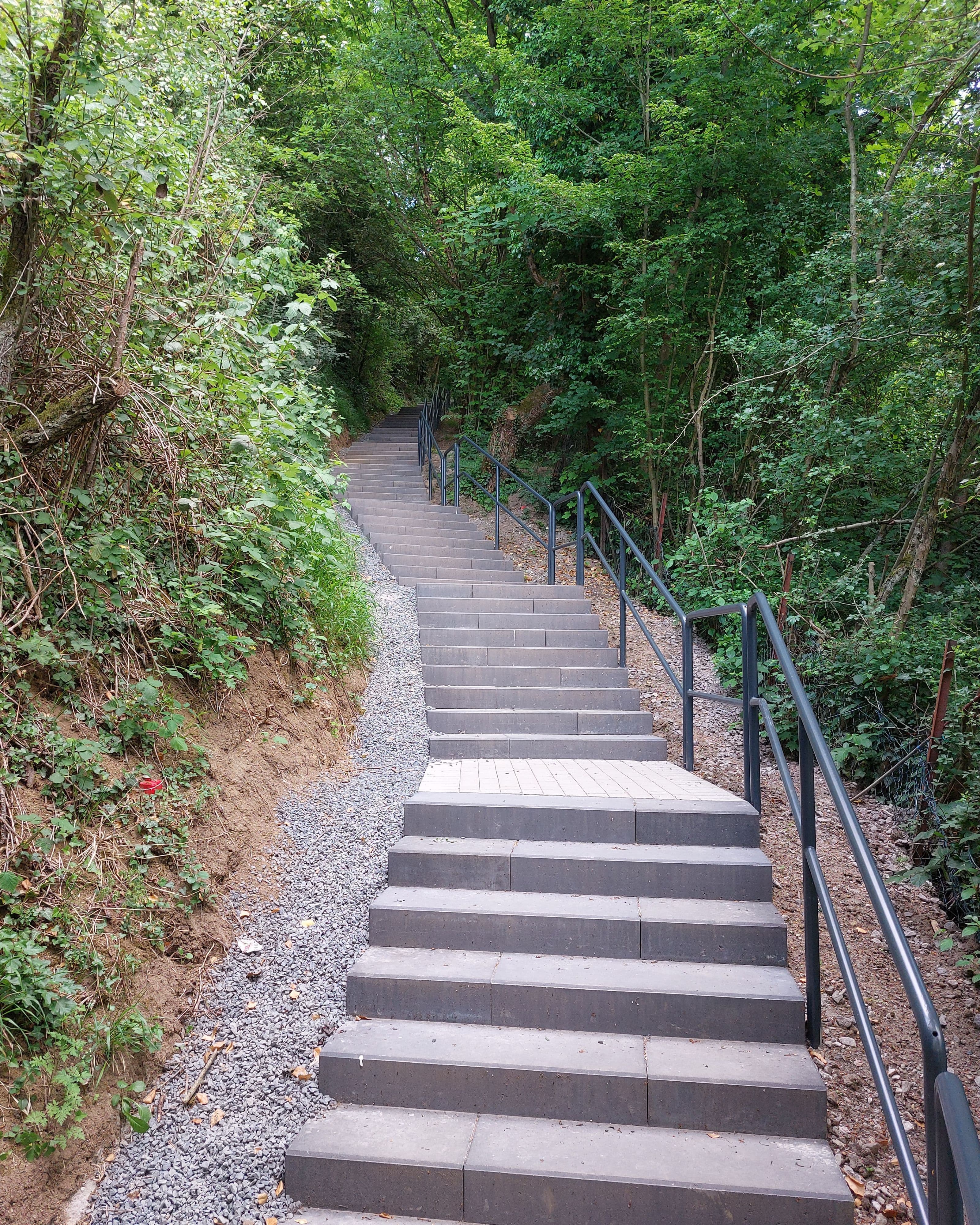 Beliebter Wanderweg in Königswinter endlich wieder offen