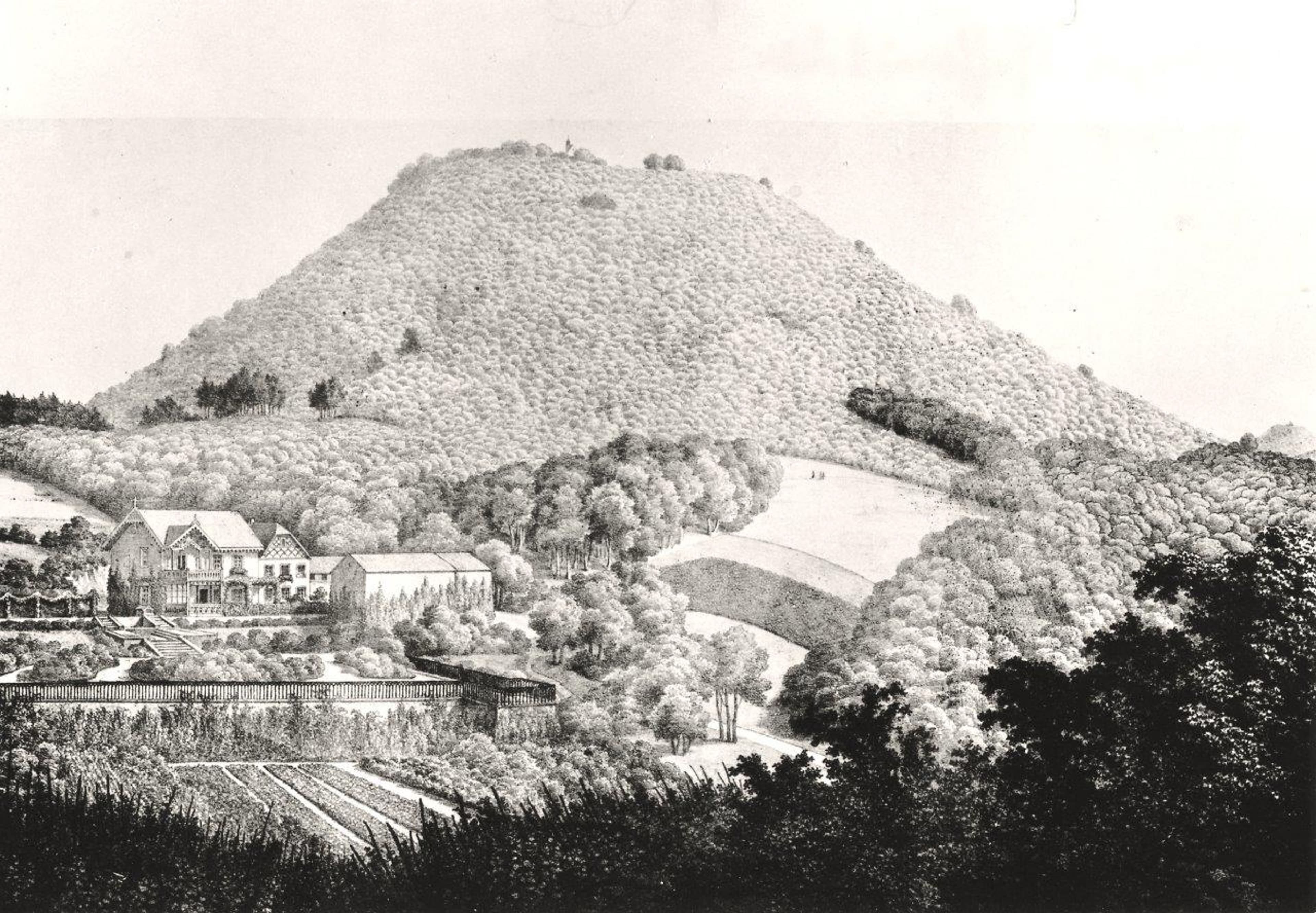 Entdecken Sie die Geschichte des Weinbaus: Historische Wanderung im Siebengebirge