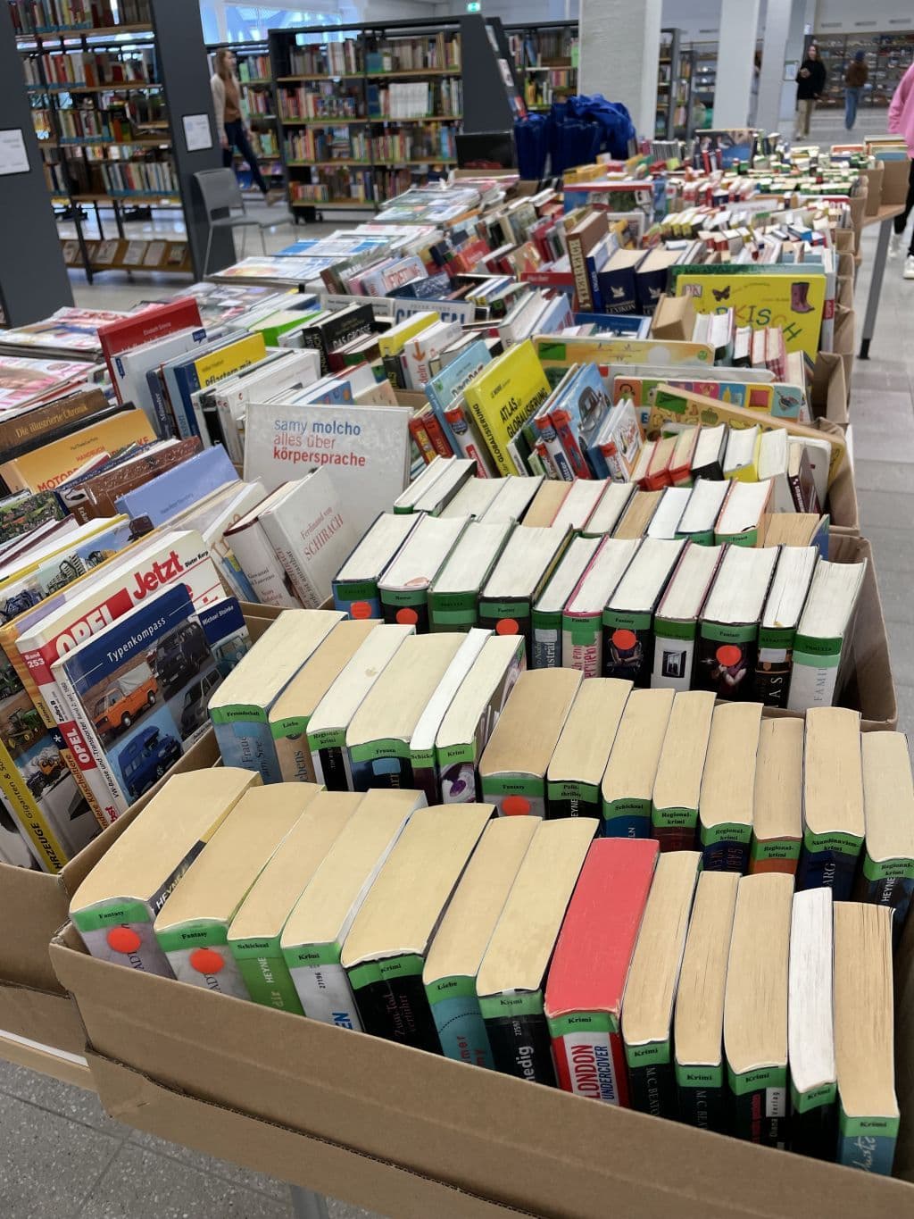 Entdecken Sie die Schätze des Medienflohmarkts in der Stadtbibliothek Rheine