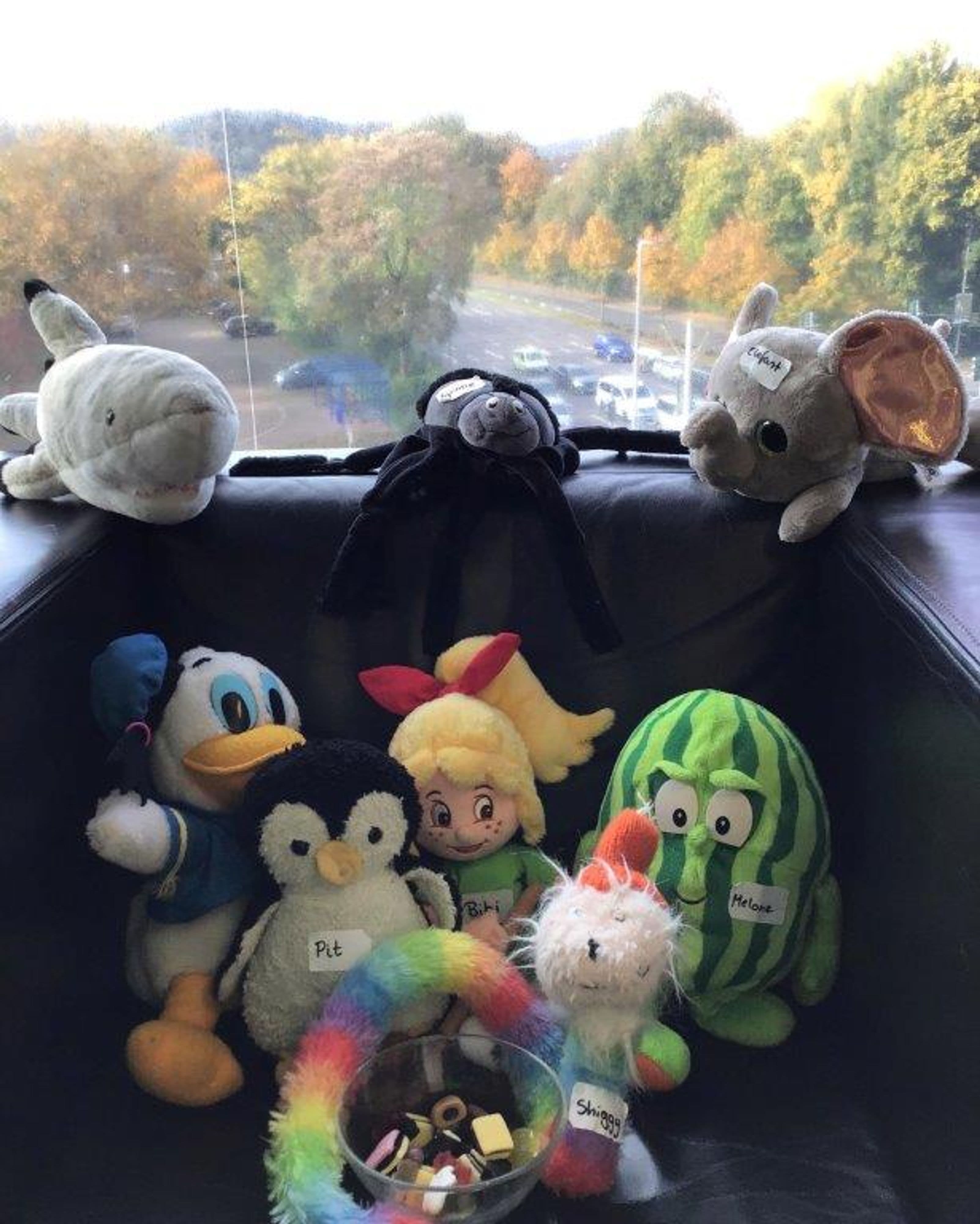 Nacht der Abenteuer: Kuscheltiere erobern die Bibliothek