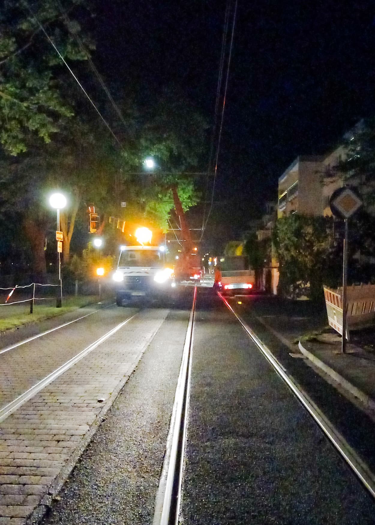 Baumpflegemaßnahmen an der SWB-Linie 66 an der Rheinallee