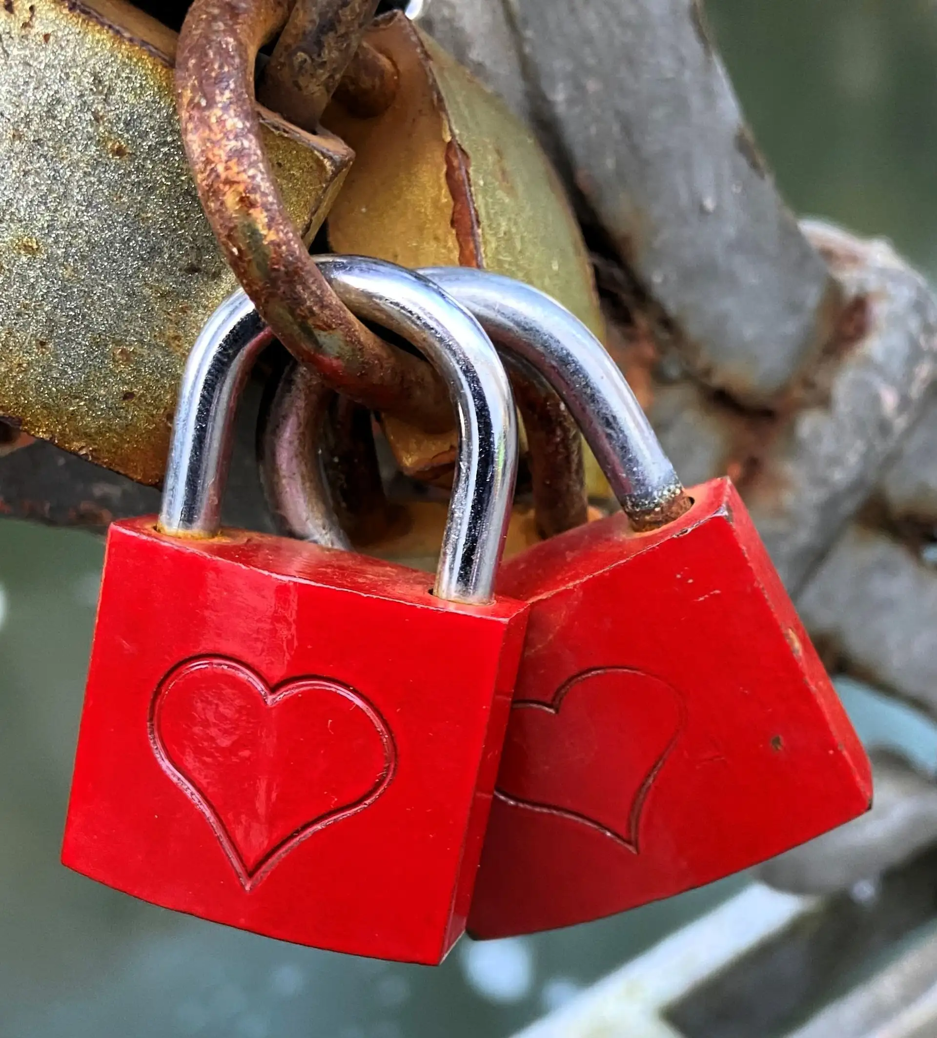 Detmolder Herzklopfen: Romantische Valentinstagsführung