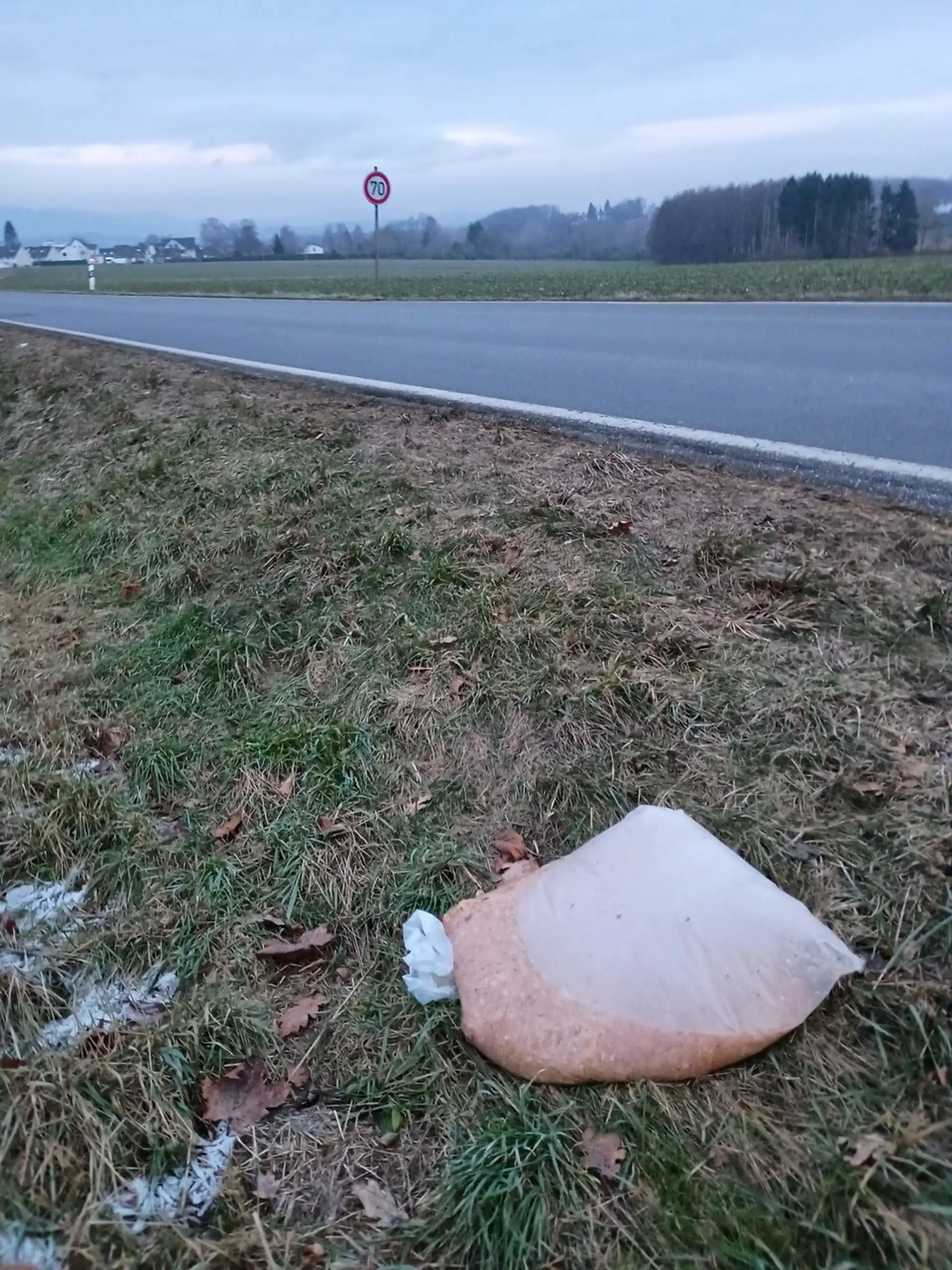 Illegale Müllablagerungen in Detmold: Ein wachsendes Problem