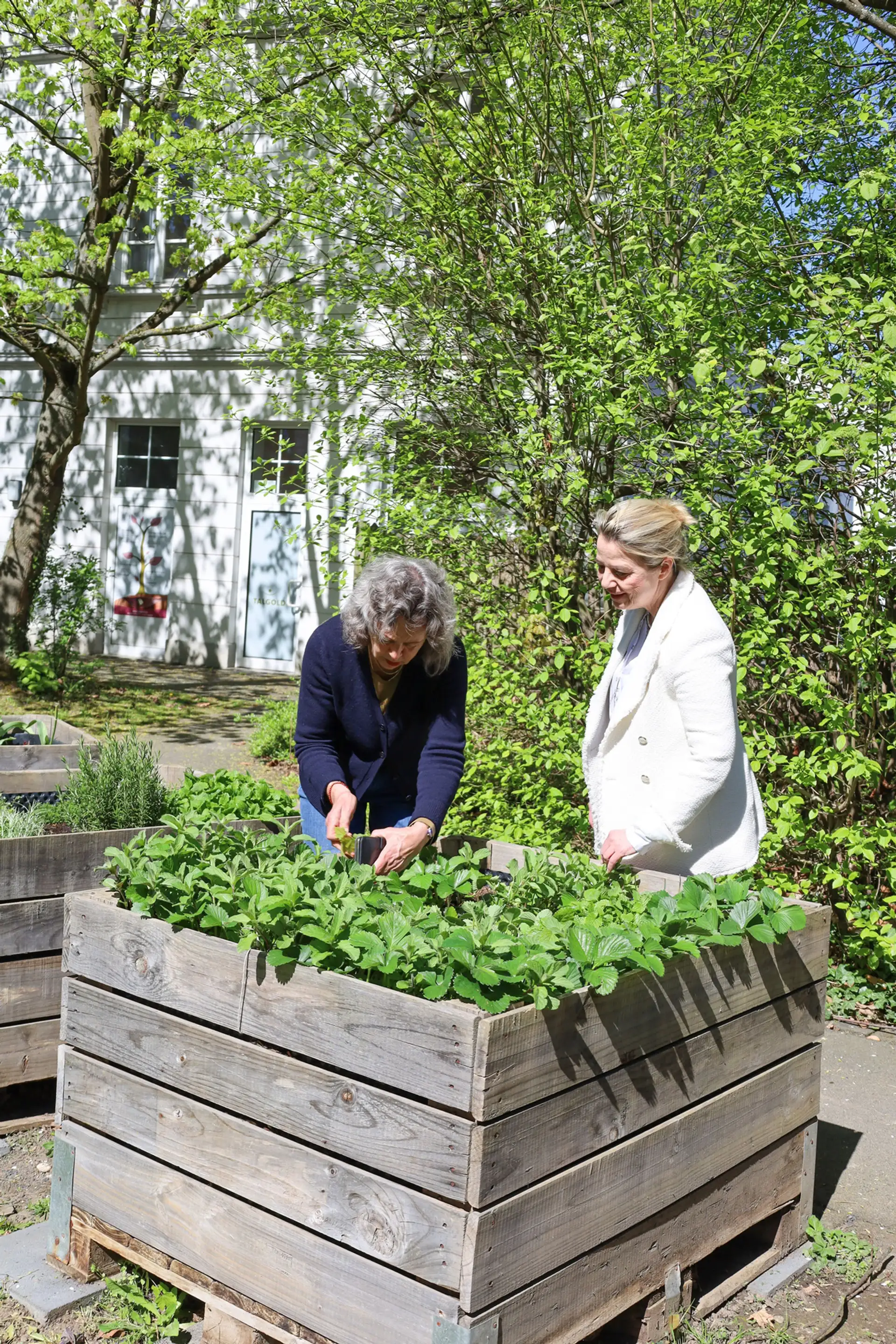 Neue Sitzgruppe für den Stadtgarten Altstadt