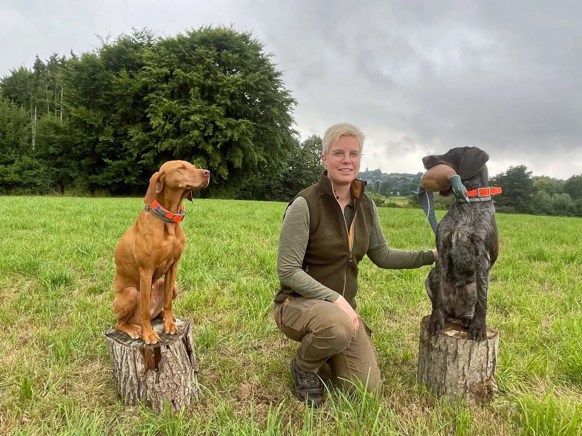 Nieheimer Holz- und Technologietage: Jagdhunde live erleben