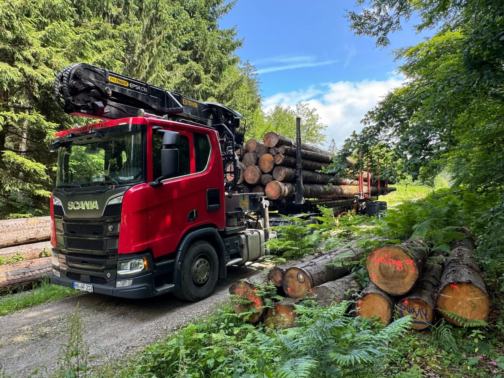 Nieheimer Holz- und Technologietage: Vom Baum zum Produkt