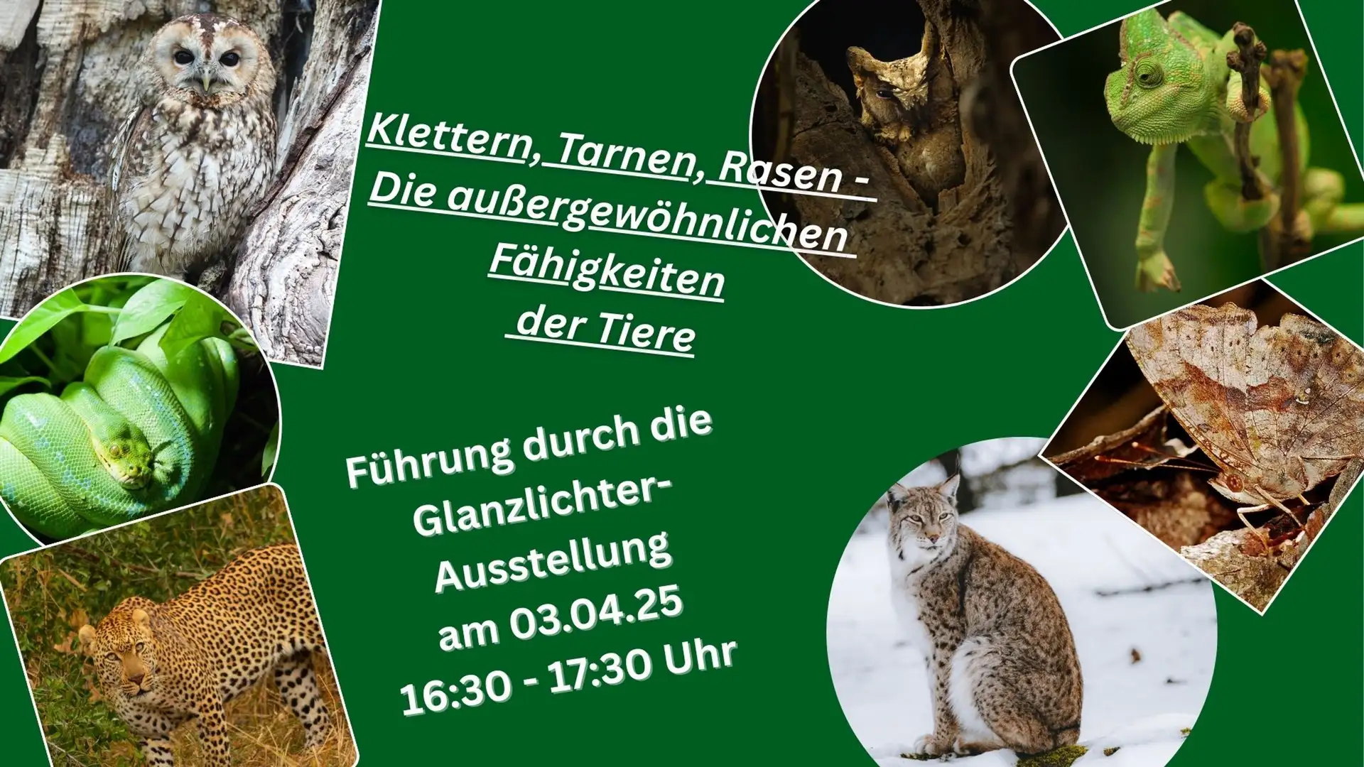 Tierische Überlebenskünstler im Fokus