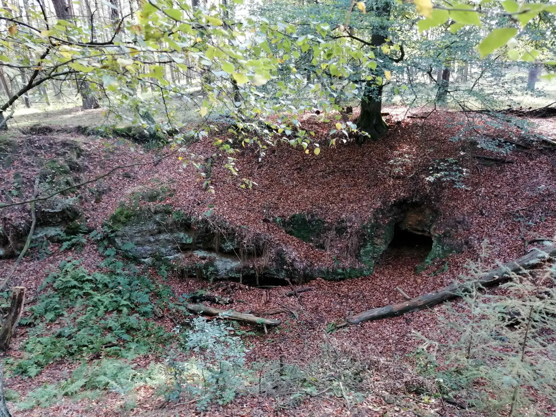 Winterwanderung in Deuten: Sagenhafte Tour am 25. Januar