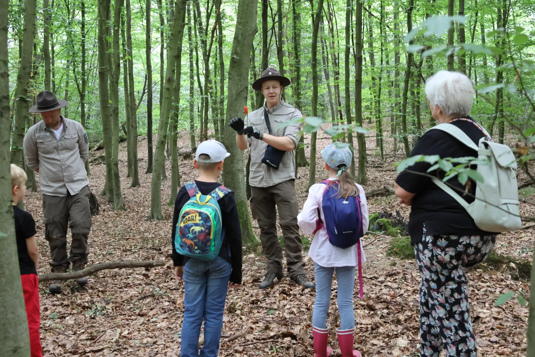 Kinder erkunden den Wald beim Freizeitspaßangebot „Wir erforschen den Wald“ mit Rangern.