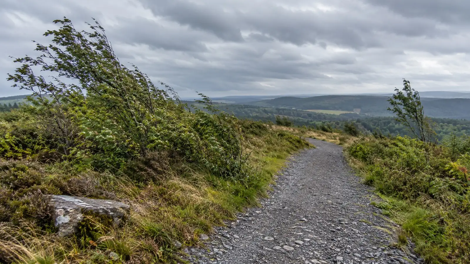 Sturm an einem leeren Bergweg. Generisches bewaldetes Bergland ohne markante Gipfel.