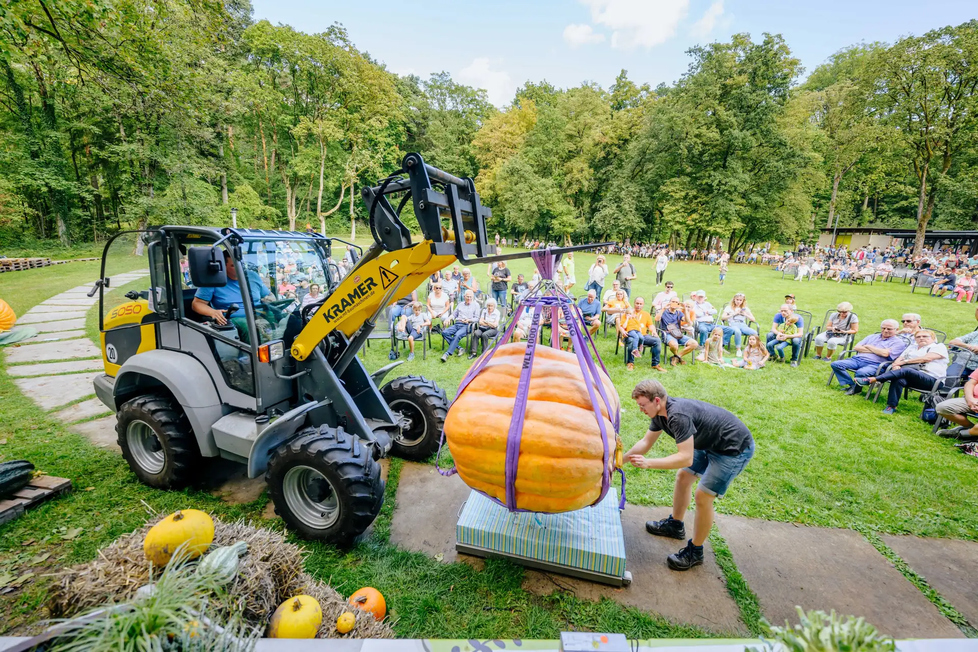 Riesenkürbisse bei der Wiegemeisterschaft in der Gartenschau in Bad Lippspringe.