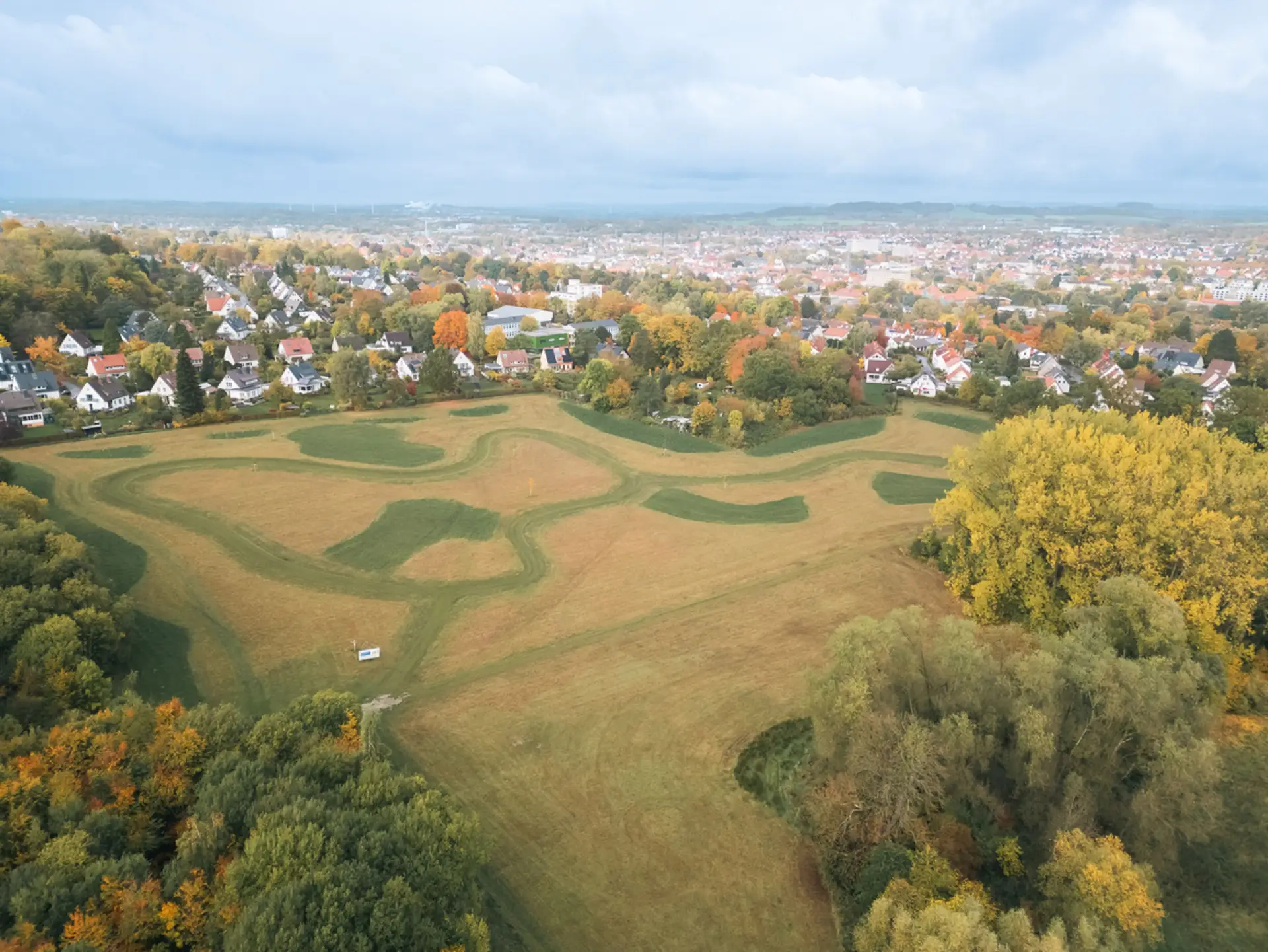 Detmold pflanzt neuen Bürgerwald