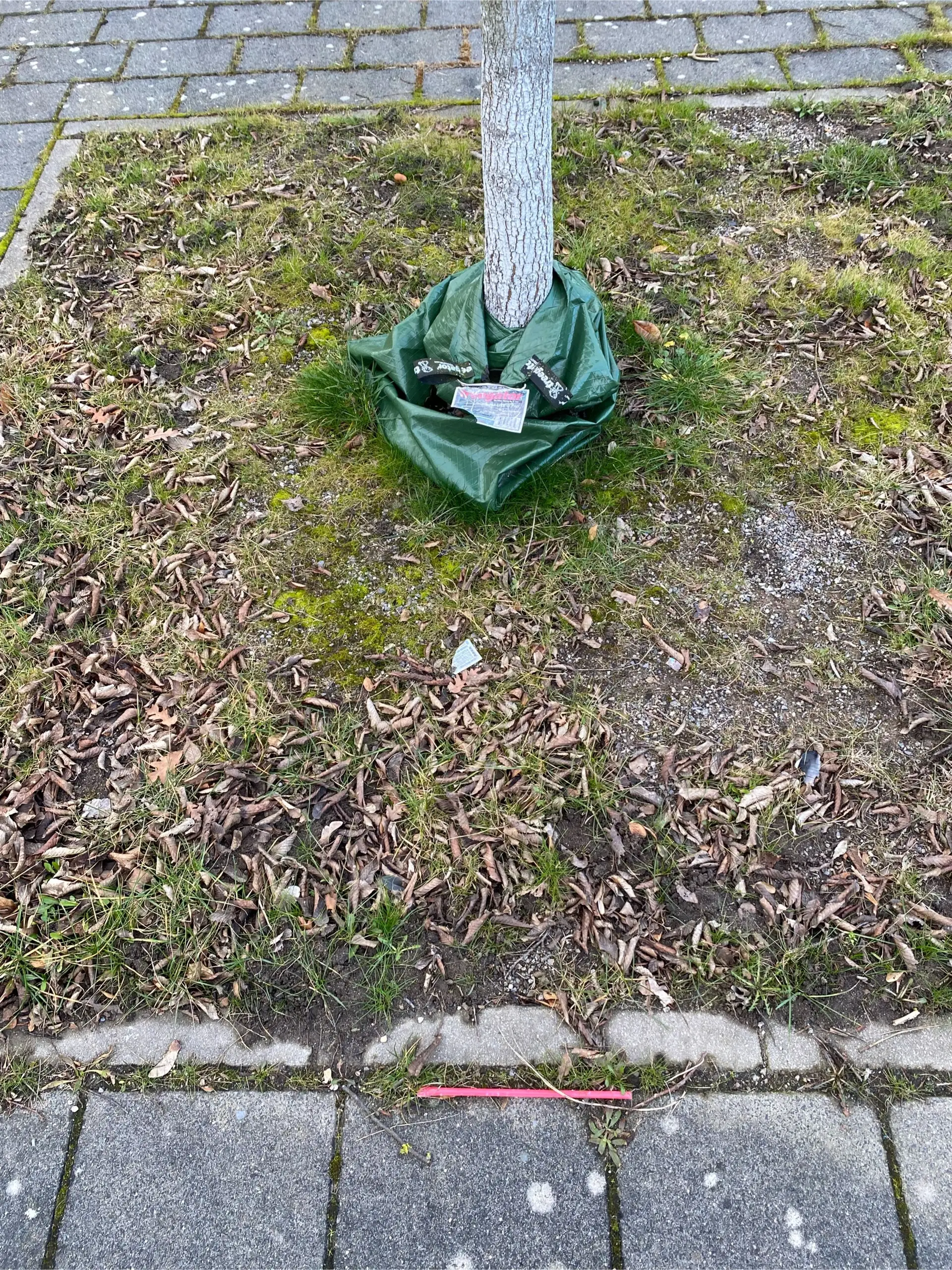 Hattingen blüht auf: Ehrenamt für die Gemeinschaft!