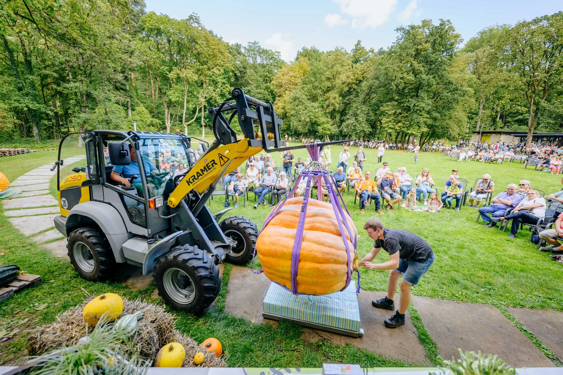 Riesenkürbisse im Rampenlicht: Kürbisfestival in Bad Lippspringe